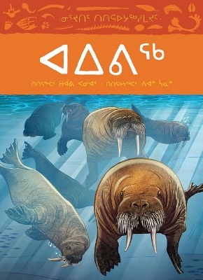 Book cover for Animals Illustrated: Walrus