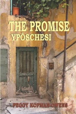 Book cover for The Promise Yposchesi