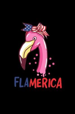 Book cover for Flamerica