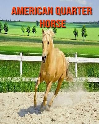 Book cover for American Quarter Horse