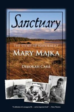 Cover of Sanctuary