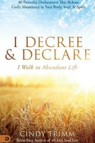 Cover of I Decree and Declare: I Walk in Abundant Life