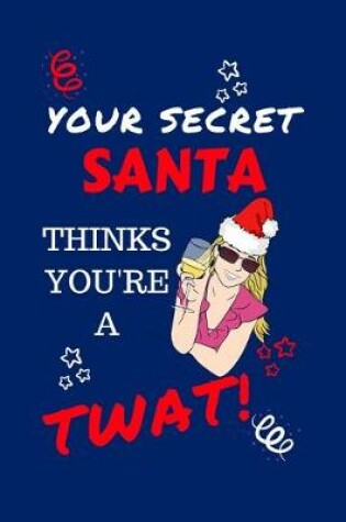 Cover of Your Secret Santa Thinks You're A Twat