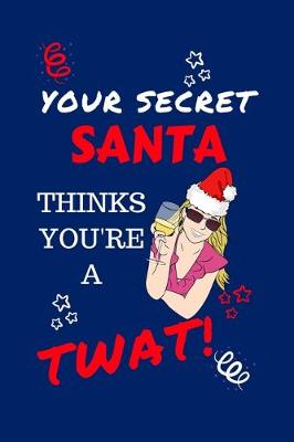 Book cover for Your Secret Santa Thinks You're A Twat