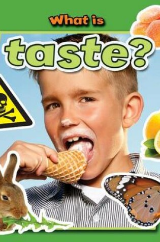 Cover of What Is Taste?