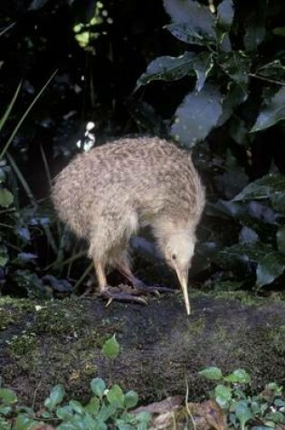 Cover of The Little Spotted Kiwi Bird Journal