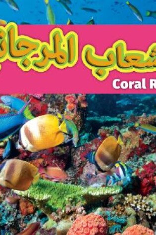 Cover of Coral Reefs (Arabic)/الشعاب المرجانية