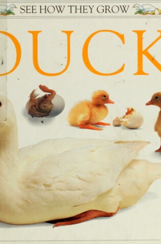 Cover of Watts Barrie : See How They Grow: Duck (Hbk)
