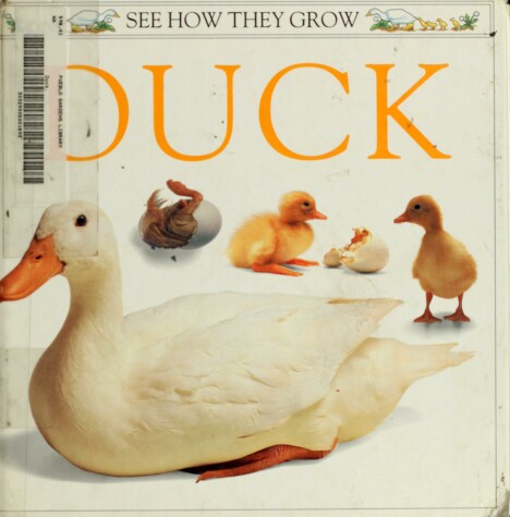 Book cover for Watts Barrie : See How They Grow: Duck (Hbk)