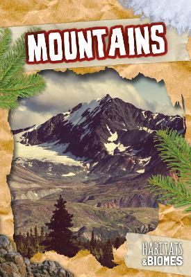 Book cover for Mountains
