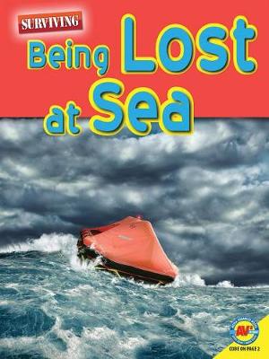 Book cover for Being Lost at Sea