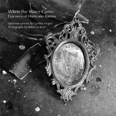 Book cover for When the Water Came