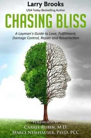Cover of Chasing Bliss