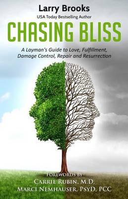 Book cover for Chasing Bliss