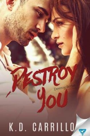 Cover of Destroy You