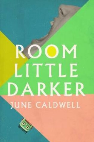 Cover of Room Little Darker