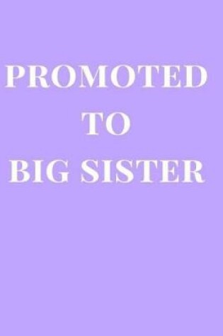 Cover of Promoted to Big Sister