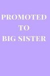 Book cover for Promoted to Big Sister