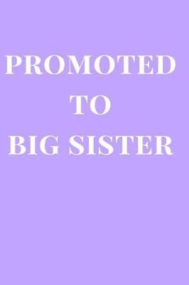 Book cover for Promoted to Big Sister