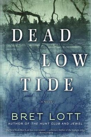 Cover of Dead Low Tide: A Novel