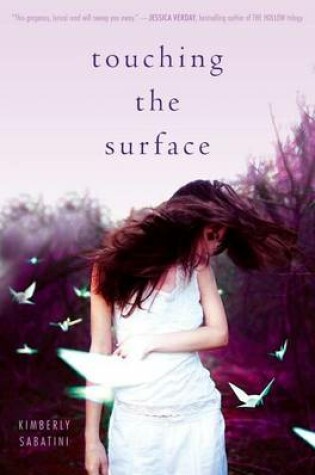 Cover of Touching the Surface