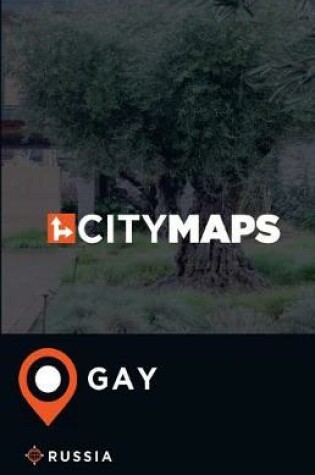 Cover of City Maps Gay Russia