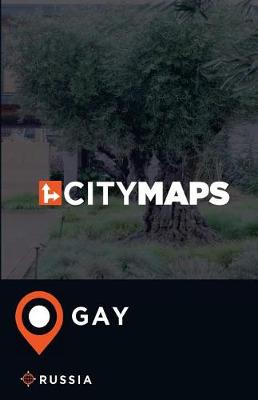 Book cover for City Maps Gay Russia