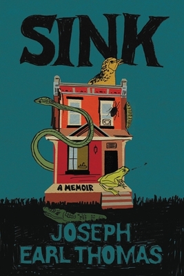 Book cover for Sink