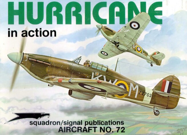 Book cover for Hurricane in Action