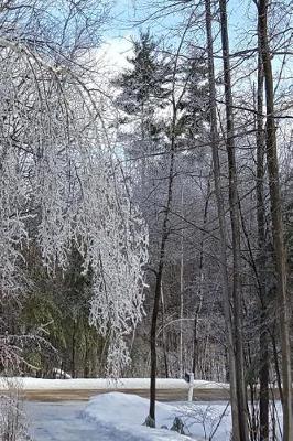 Book cover for Journal Winter Ice Storm Birch Tree Snow Covered