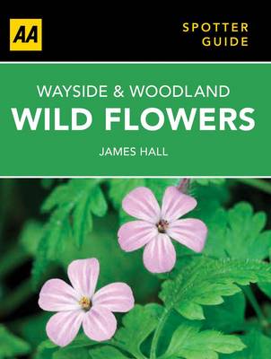 Book cover for Wayside & Woodland Wild Flowers