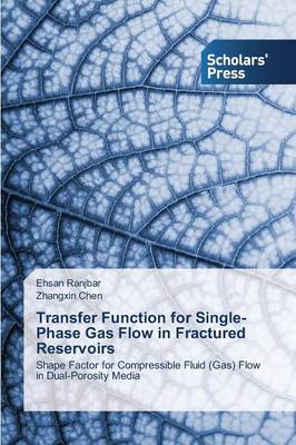 Book cover for Transfer Function for Single-Phase Gas Flow in Fractured Reservoirs