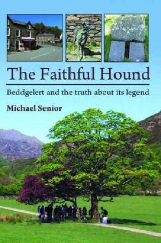Cover of Faithful Hound   Beddgelert and the Truth About Its Legend