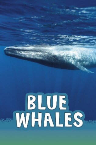 Cover of Blue Whales