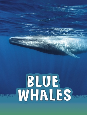 Book cover for Blue Whales