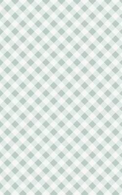 Book cover for Mint Green Checker - Lined Notebook with Margins - 5x8