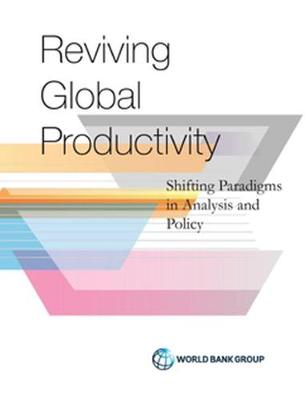 Book cover for Productivity revisited