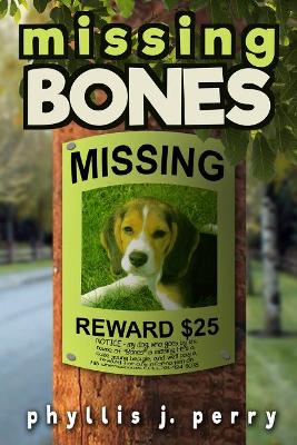 Book cover for Missing Bones