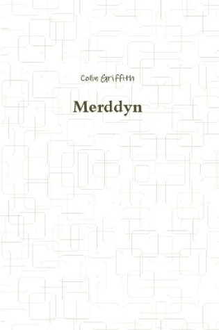 Cover of Merddyn