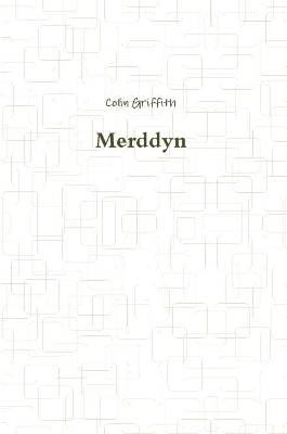 Book cover for Merddyn