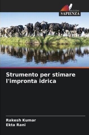 Cover of Strumento per stimare l'impronta idrica