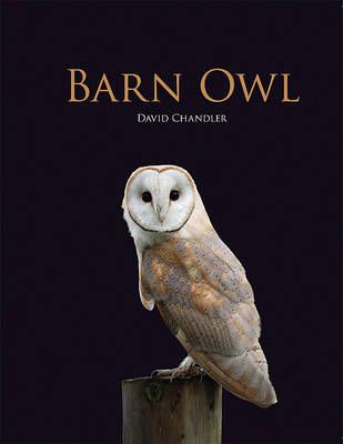 Book cover for Barn Owl