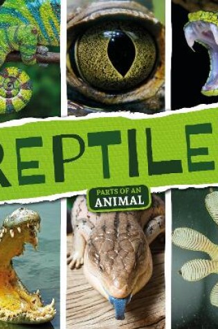 Cover of Reptiles