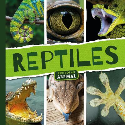 Cover of Reptiles