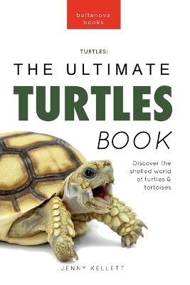 Book cover for Turtles The Ultimate Turtles Book