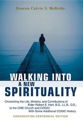 Cover of Walking Into a New Spirituality