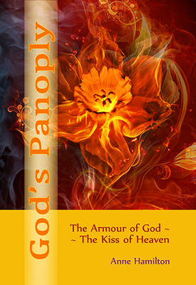 Book cover for God's Panoply