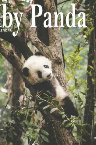 Cover of Baby Panda