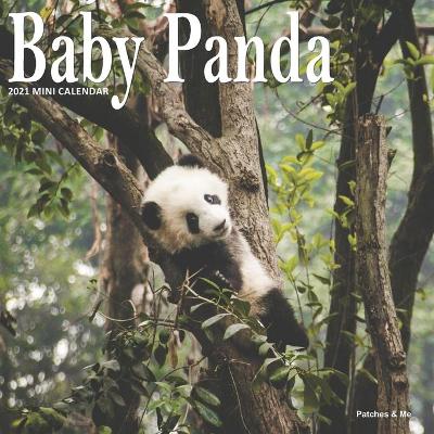 Book cover for Baby Panda