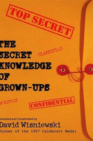 Cover of Secret Knowledge of Grownups